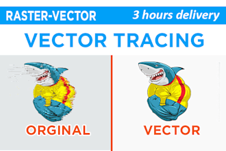 convert your logo or graphic to vector trace, vector tracing