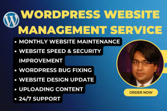 provide ongoing wordpress website maintenance and support