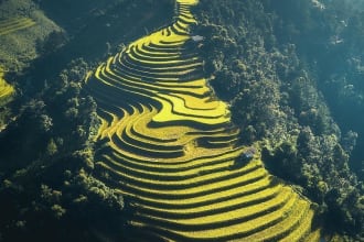 draw contour and terrain detail for your site or city