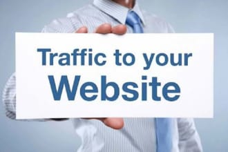 drive 2000 usa visitors and real traffic daily for 1 month