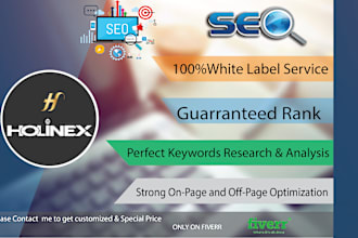 do on page SEO optimization for wordpress, shopify and webflow websites