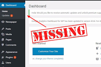 fix wordpress errors, issues, bug or css