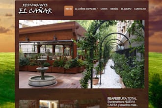 design and develop wordpress professional website