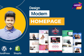 do professional landing page and homepage design or redesign your website
