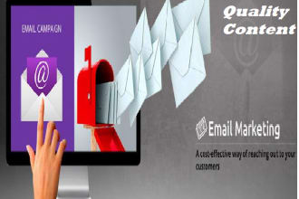 write convincing and professional sales letter for your email campaign