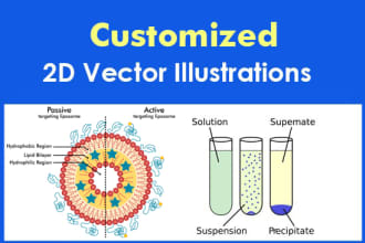 draw educational, science diagrams, illustrations, 2d vector