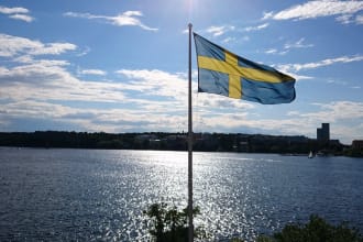 professionally edit and proofread your swedish text