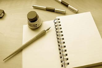 provide  quality article and blog writing