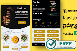setup expert klaviyo email marketing flows for your shopify store
