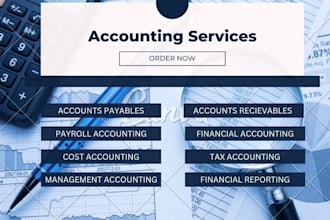provide professional accounting and bookkeeping services