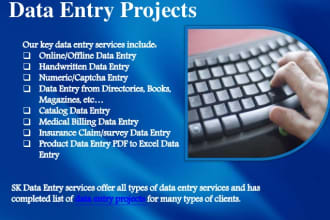 do any type of data entry task with perfection
