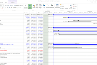 expertly schedule your important project