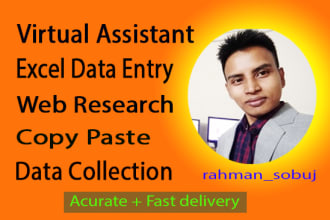 do excel data entry,spreadsheet, web research and copy paste
