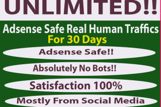 send unlimited adsense safe real human web traffic for 30 days