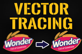 do vector tracing and illustration line art perfectly