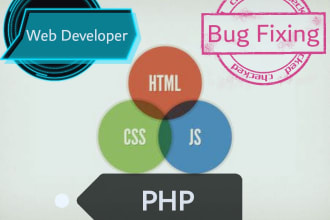 be your web developer,do web design and website bug fixing