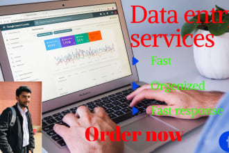 do professional data entry, typing, copy paste and web research