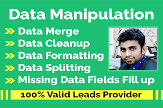 do data manipulation, cleaned, organized, and analyzed of your large database