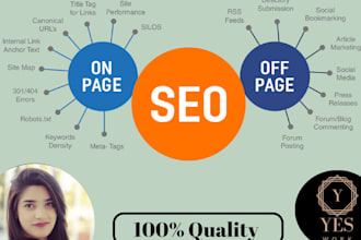 do on page SEO of wordpress ,rank your website, meta tags, site audit report