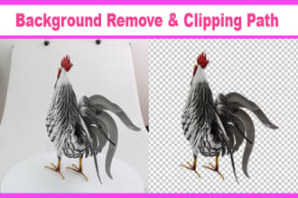do background removal, cut out, clipping path, white or transparent bg
