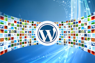 install wordpress theme and setup same like demo
