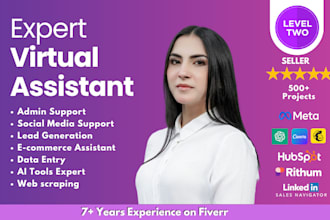 be administrative virtual assistant for all admin support tasks