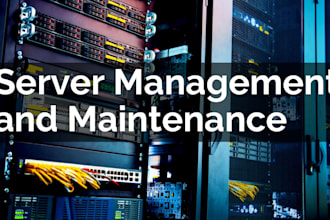 provide monthly server security, maintenance, and backup