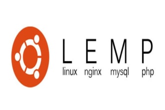 install nginx and lamp on your server