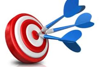 send 2000 Geo and targeted website traffic No1 service