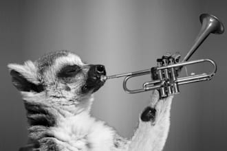 produce afro pop beats instrumental