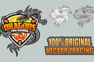 do any image or draft vector tracing and re create