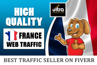 bring unlimited organic targeted france web traffic