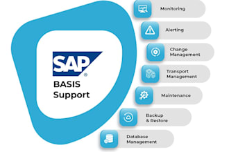 provide sap basis support