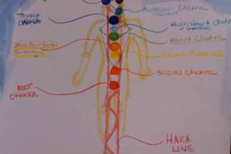do an energy reading and healing on your chakras