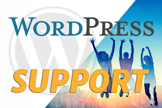 do wordpress support and customization help from de expert