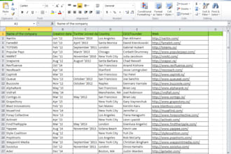 do professional online or offline data entry and copy paste work