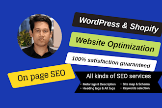 optimize onpage SEO for wordpress and shopify websites