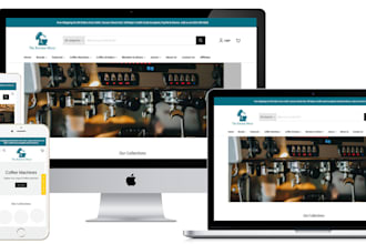 design branded shopify website or dropship store