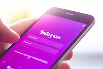 professionally manage your instagram