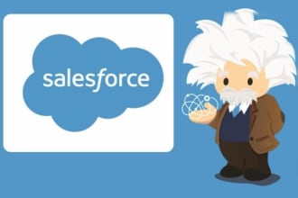 do full customization automation of salesforce CRM