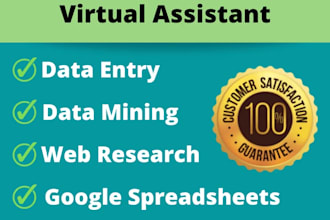 provide data entry services, copy paste, typing, data mining, web scrapping