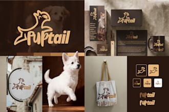 logo and visual identity with custom brand kit and guidelines