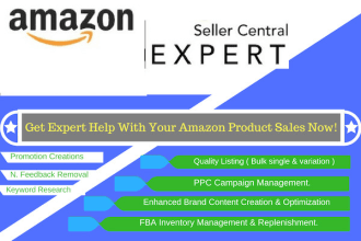 be your amazon seller central virtual assistant