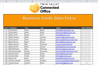 do virtual assistant data entry service