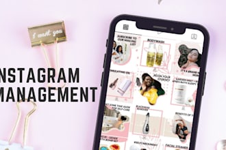 manage your instagram account plus bonus