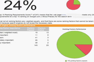 create a extremely detailed 50+ Page Seo Report for your website using IBP