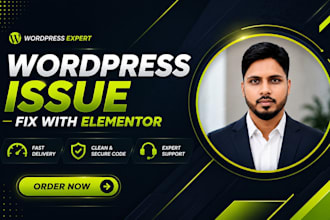 fix any wordpress issues with elementor, elementor issues, and CSS issues