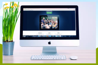 fix wordpress problems, widgets, plugins or do custom work