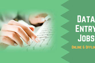do data entry and data analysis