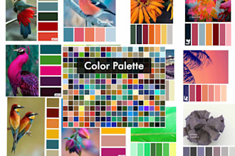 give color palette for your brand identity